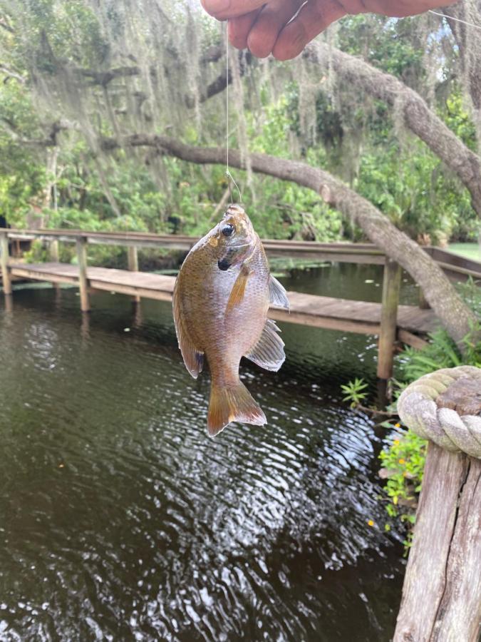 Lake Front Rv Experience Close To Port Canaveral And Kennedy Space Center Hotel Titusville Bagian luar foto